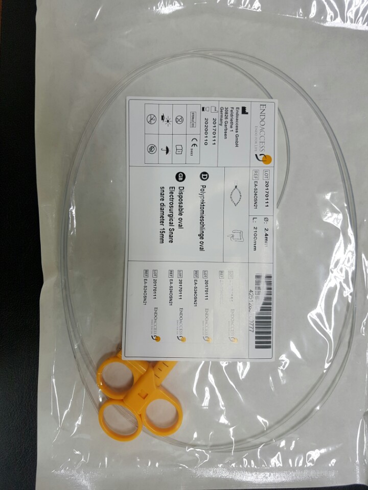 (Endoaccess) Disposable Oval Snare - Standard